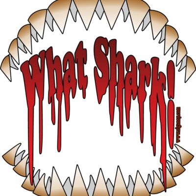 What Shark!! Thumbnail
