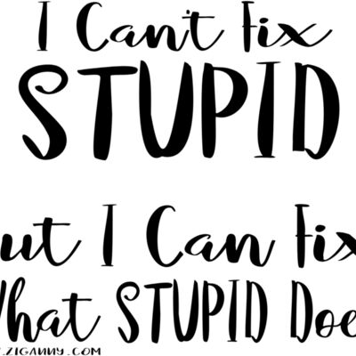 I Can't Fix Stupid - Black Text Thumbnail