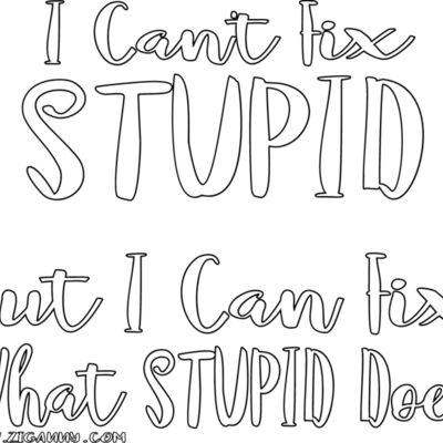 I Can't Fix Stupid - White Text Thumbnail