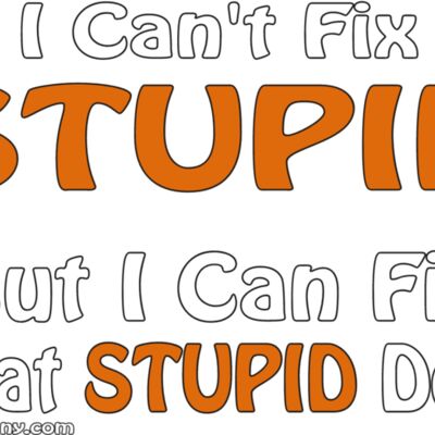 I Can't Fix Stupid - White & Orange Text version 2 Thumbnail